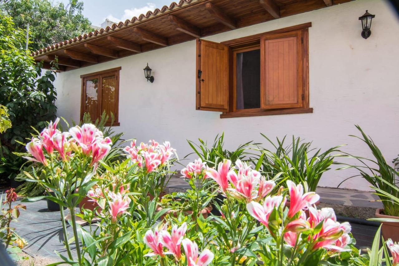 Cozy House Casa Vero Mai Icod De Los Vinos Bagian luar foto